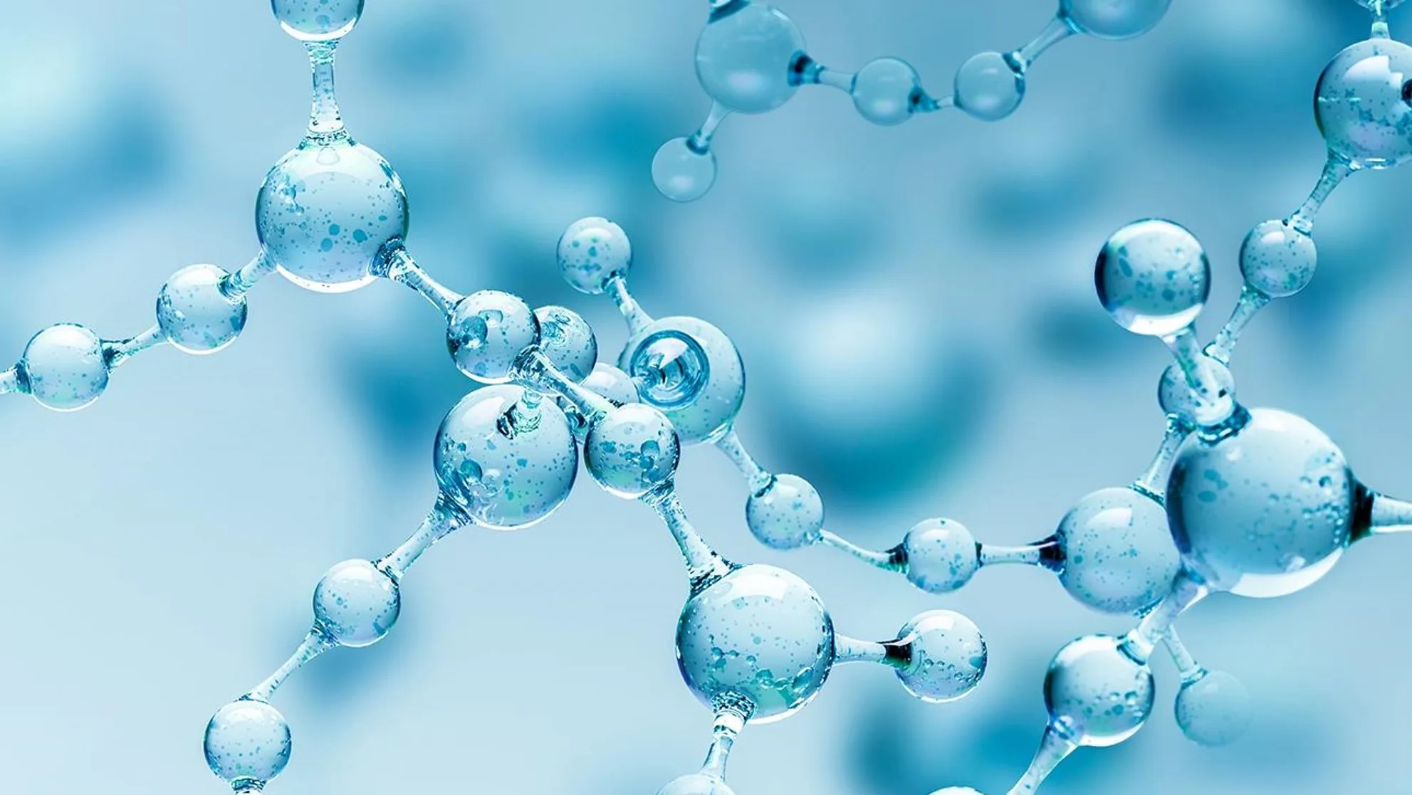 Glycoscience - The Third Language of Cellular Longevity